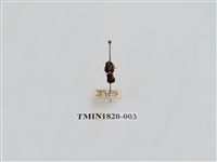 藏品(蔬菜害蟲)的圖片